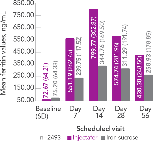 Graph displaying the mean ferritin value at each scheduled visit
